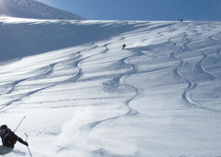 Skiing powder snow in spring sunshine. Heliskiing Riksgränsen, 17th April 2010 Photo: Lisa Auer